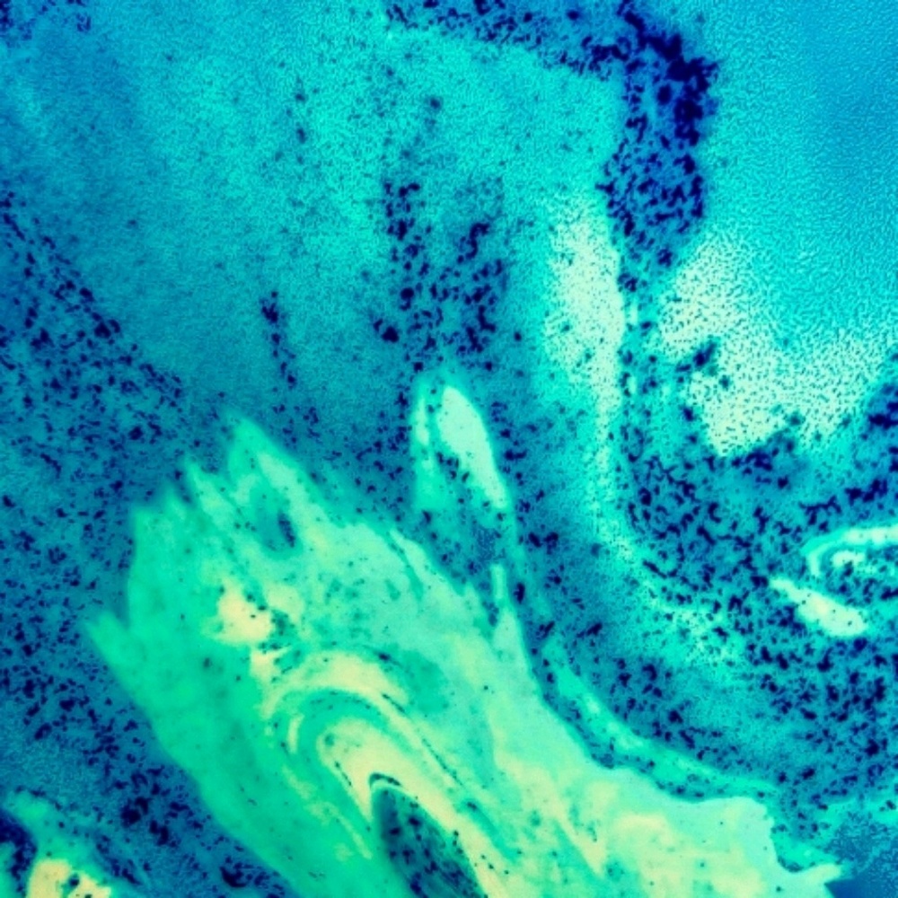 Meet your Posher, Wade